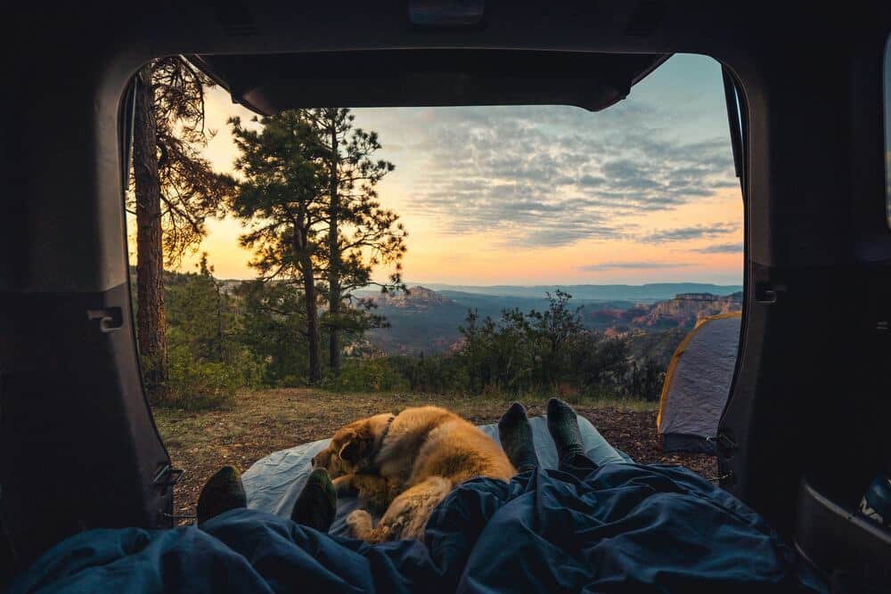 safe dog camping